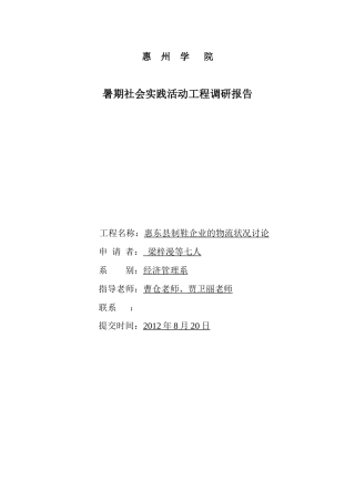 惠东县制鞋企业的物流状况研究报告