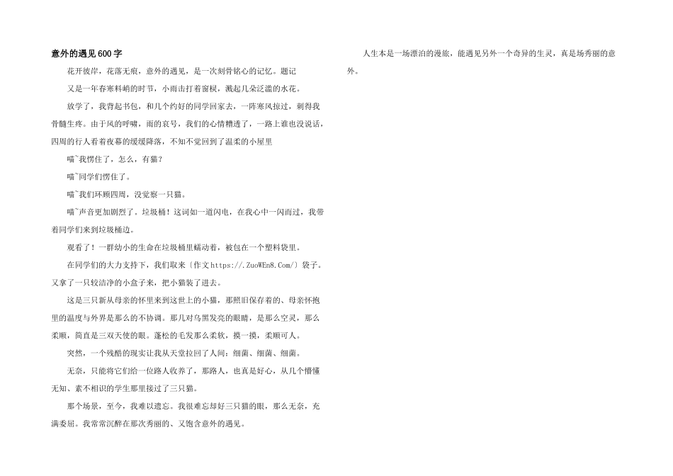 意外的遇见600字_第1页