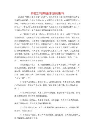 树组工干部形象活动剖析材料