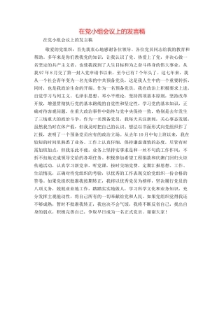 在党小组会议上的发言稿