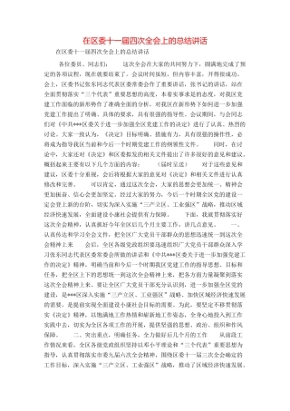 在区委十一届四次全会上的总结讲话