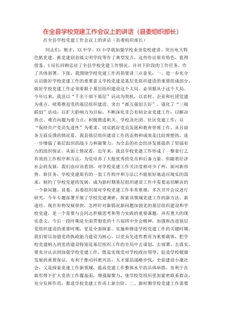 在全县学校党建工作会议上的讲话（县委组织部长）