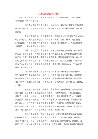 正风肃纪剖析材料