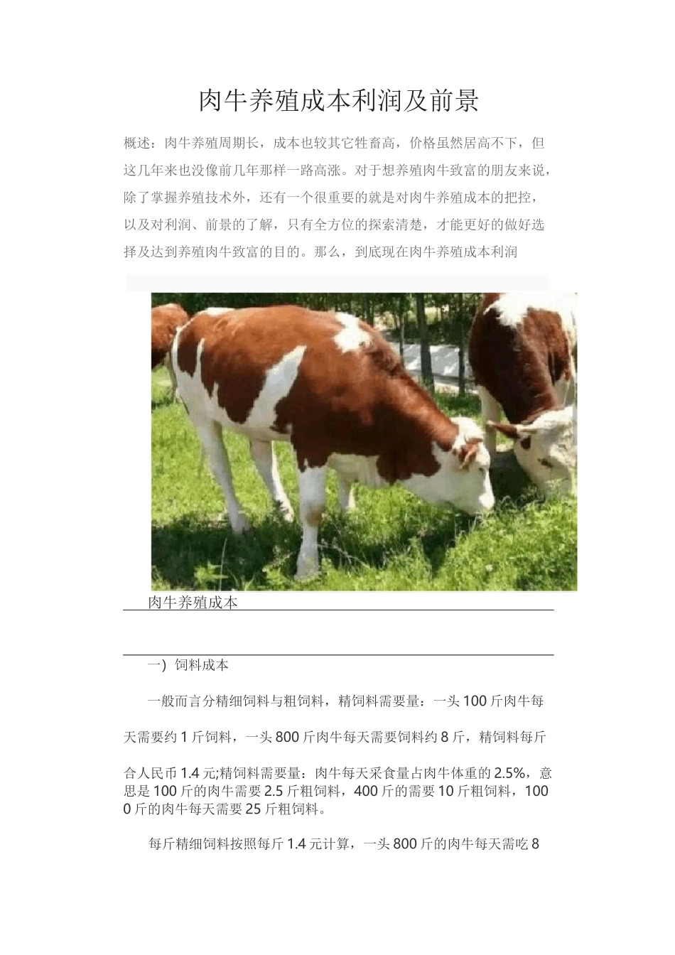 肉牛养殖成本利润及前景_第1页