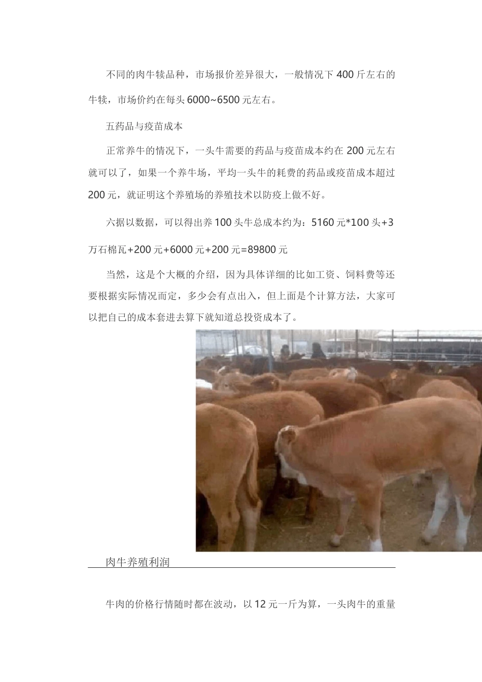 肉牛养殖成本利润及前景_第3页
