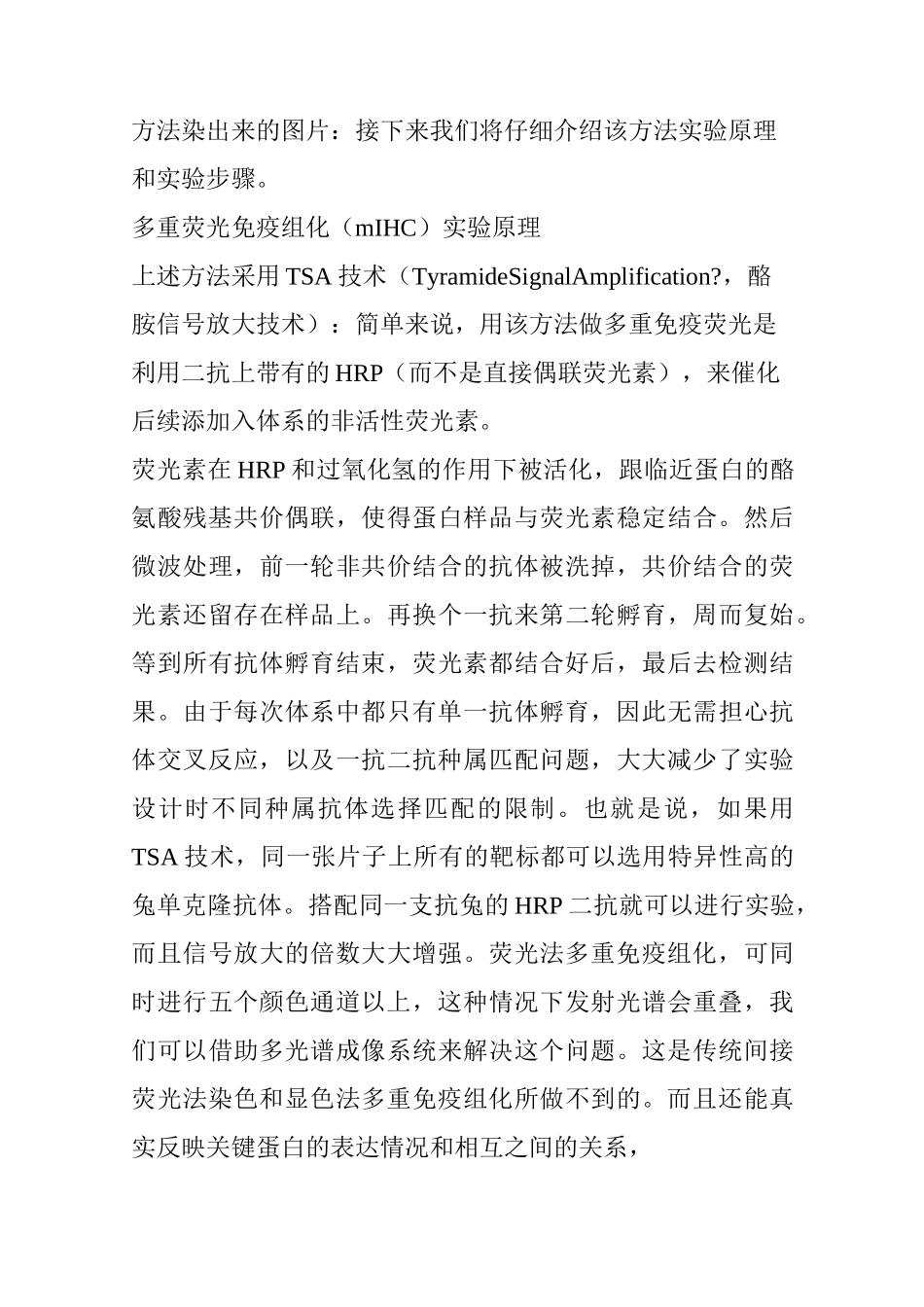 想做多重免疫荧光？收好指南,教你一张片子染出七种颜色_第2页
