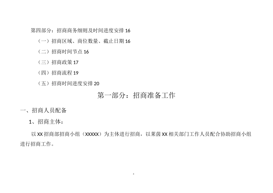 招商执行计划方案_第3页