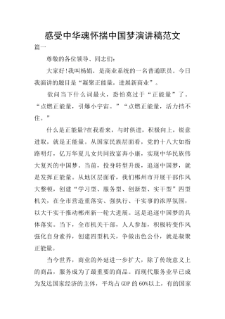 感受中华魂怀揣中国梦演讲稿范文