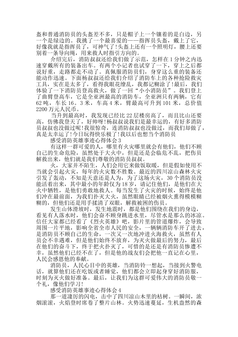 感受消防英雄事迹心得体会作文700字_第2页