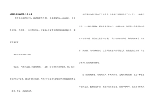 感恩母亲演讲稿大全5篇