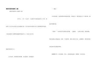 感恩母爱的集锦15篇
