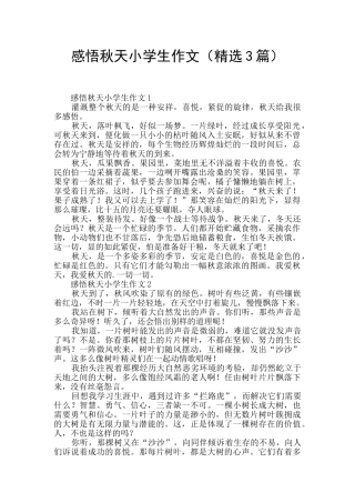 感悟秋天小学生作文
