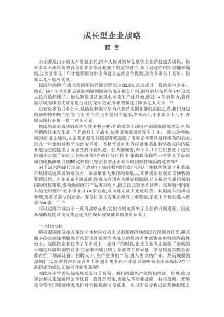 成长型企业战略