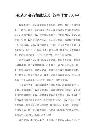 我从来没有如此惊恐