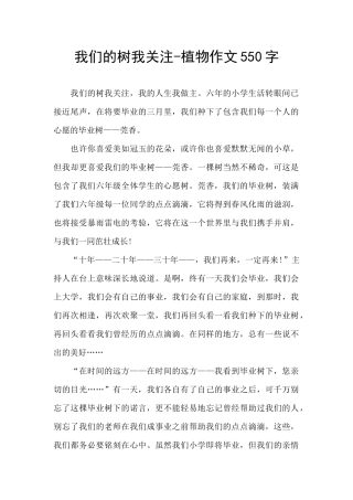 我们的树我关注