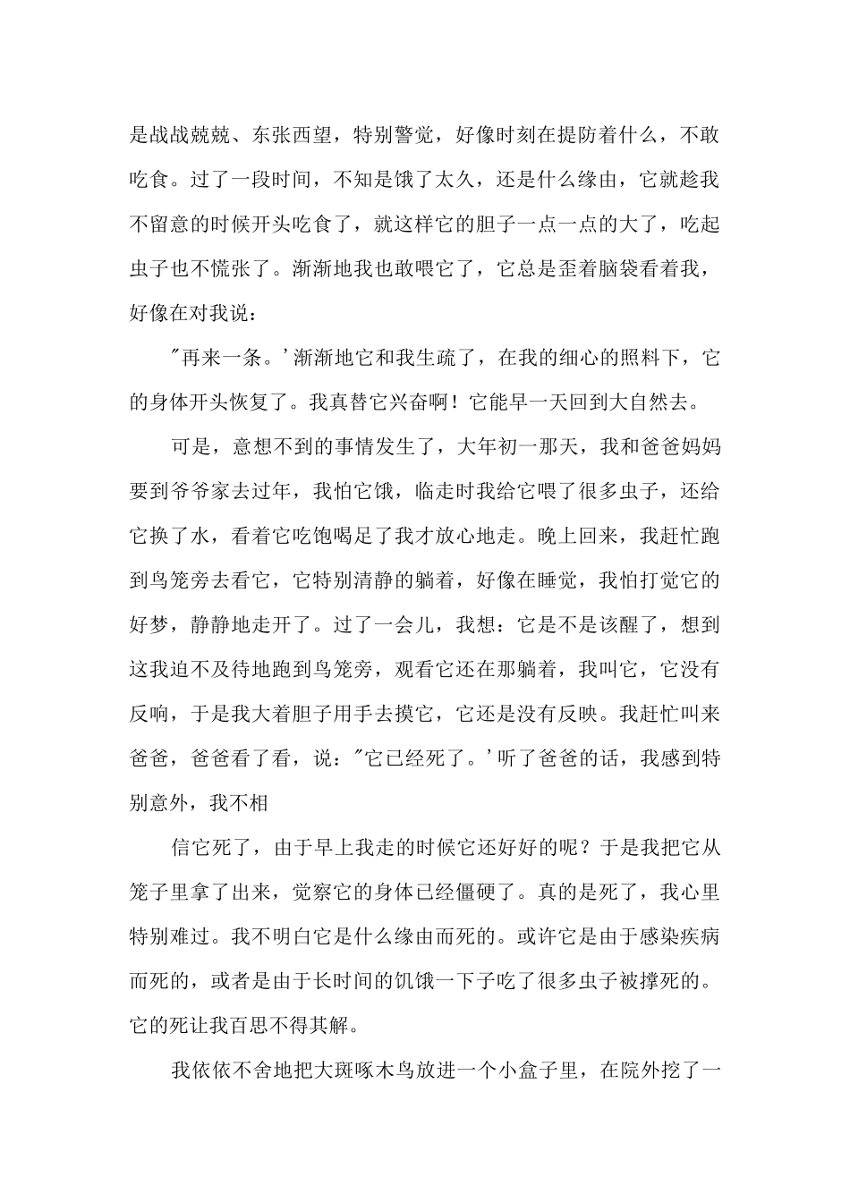 我和大斑啄木鸟1200字_第2页