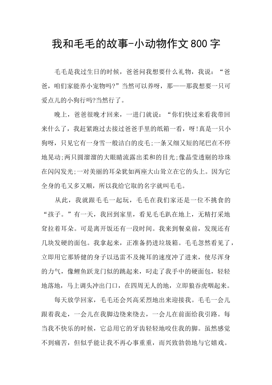我和毛毛的故事_第1页