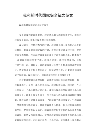 我和新时代国家安全征文范文