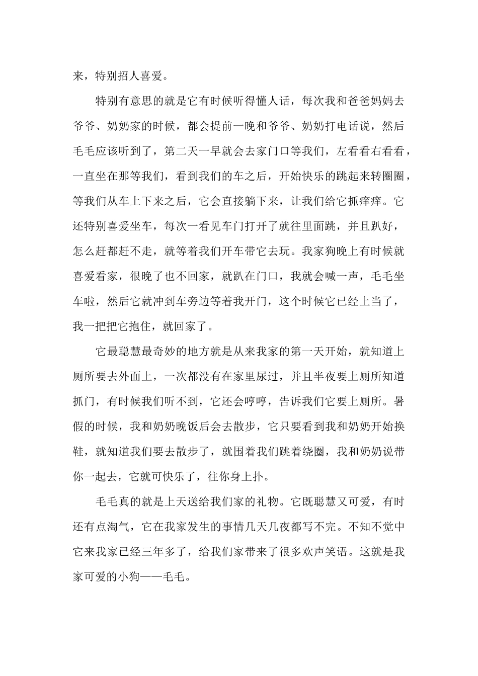 我家可爱的小狗——毛毛_第2页