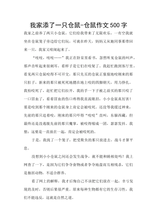 我家添了一只仓鼠