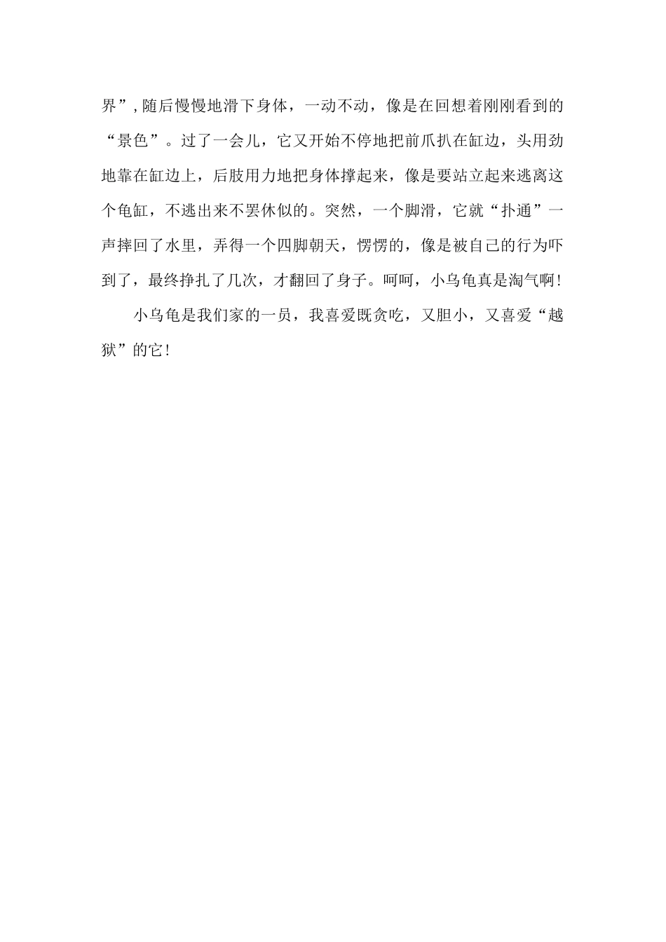 我家的小乌龟_第2页