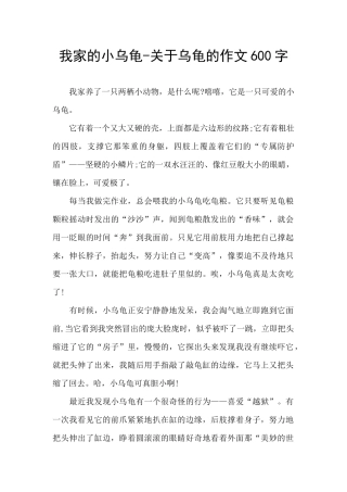 我家的小乌龟