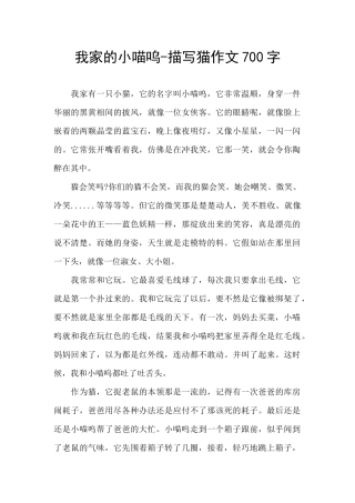 我家的小喵呜
