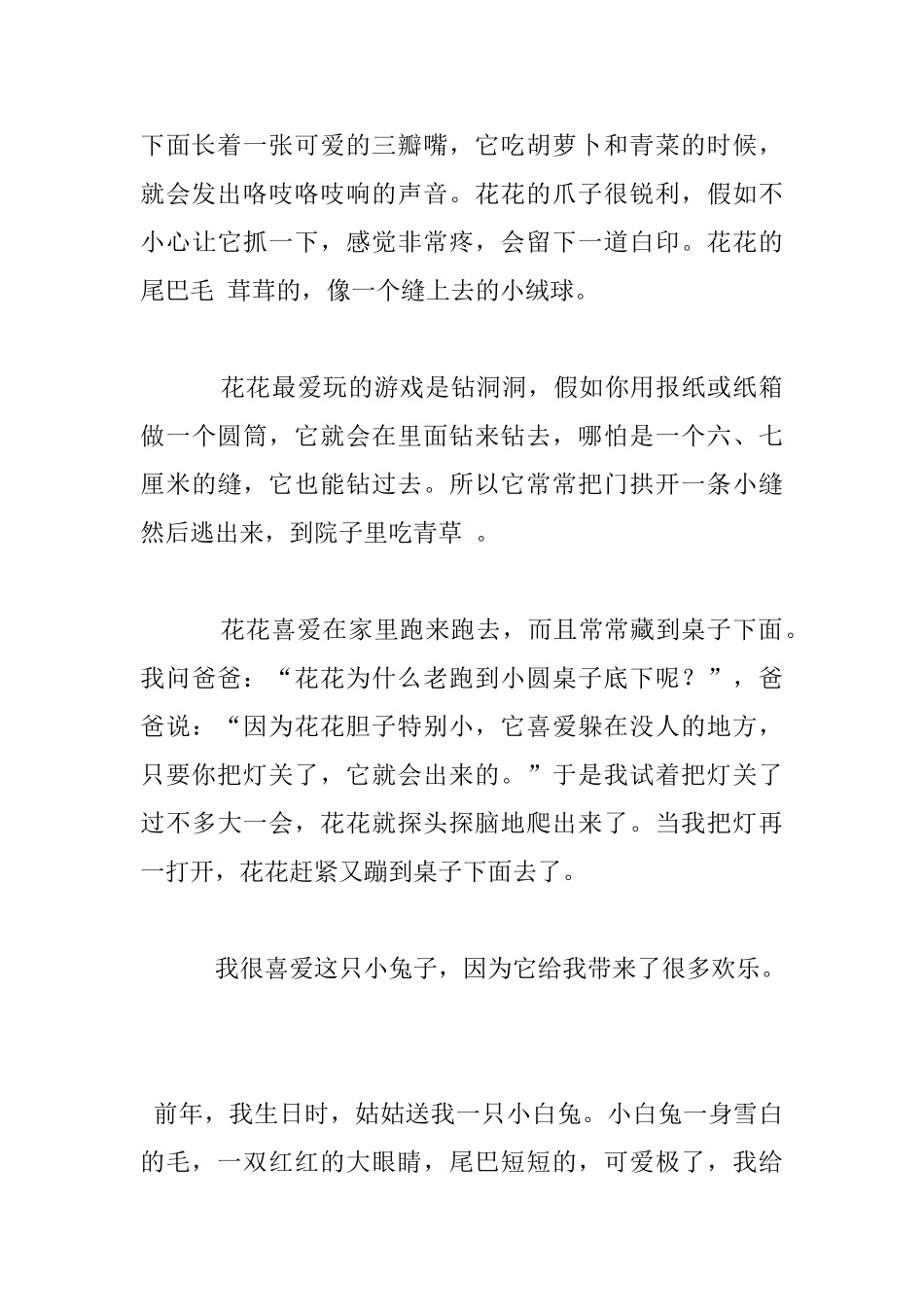 我家的小兔子作文小白兔_第3页