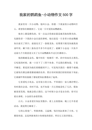 我家的鹦鹉鱼