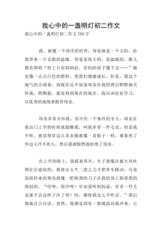 我心中的一盏明灯初二作文