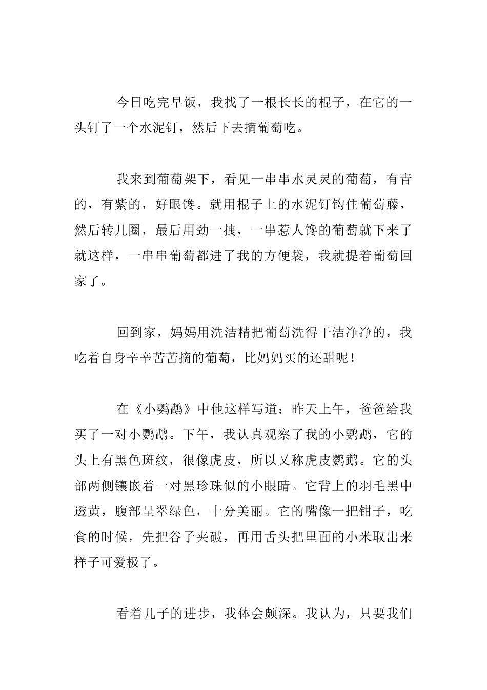 我教儿子写日记_第2页
