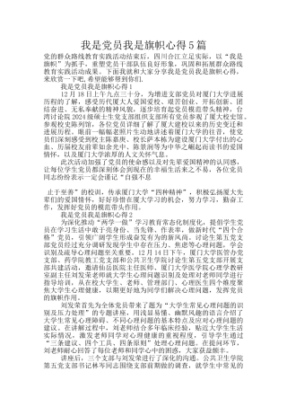 我是党员我是旗帜心得5篇