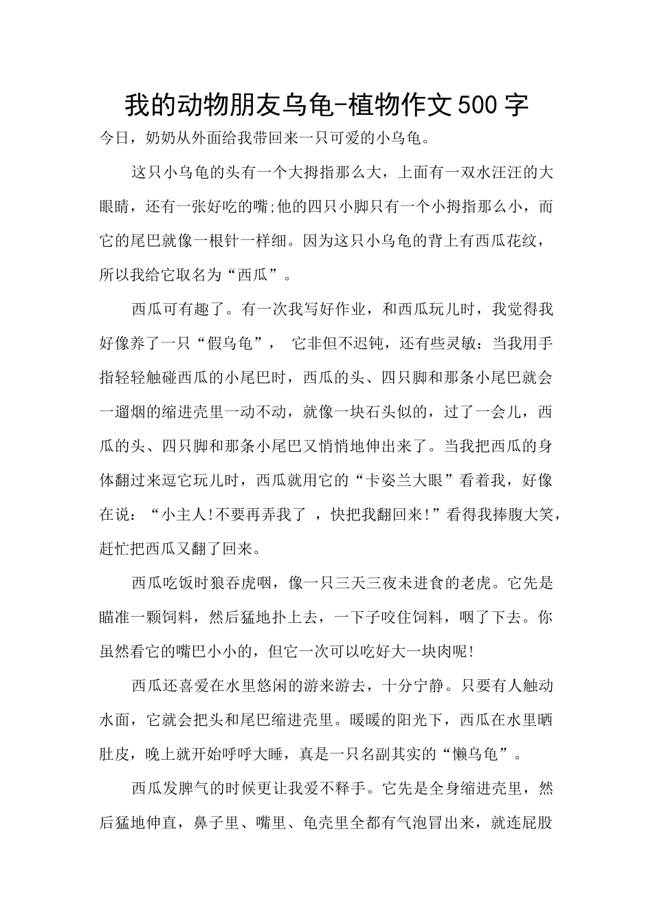 我的动物朋友乌龟_第1页