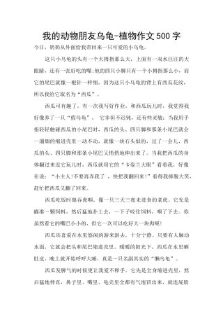 我的动物朋友乌龟