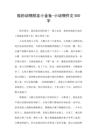 我的动物朋友小金鱼