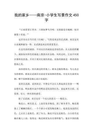 我的家乡——南京-小学生写景作文450字