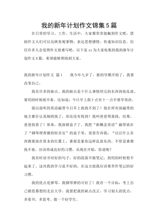 我的新年计划作文锦集5篇