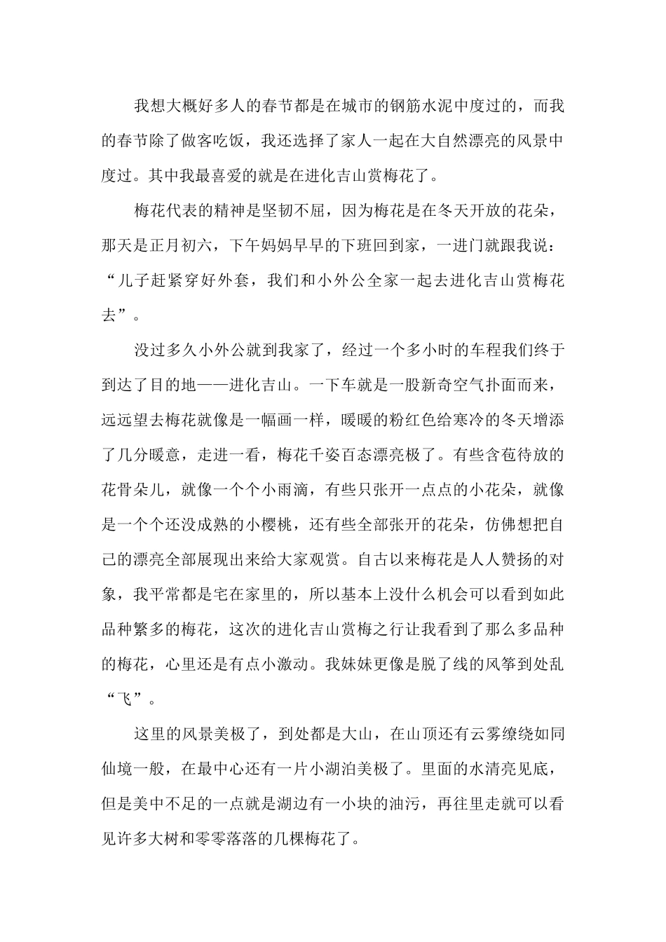 我的春节小学作文5篇_第2页