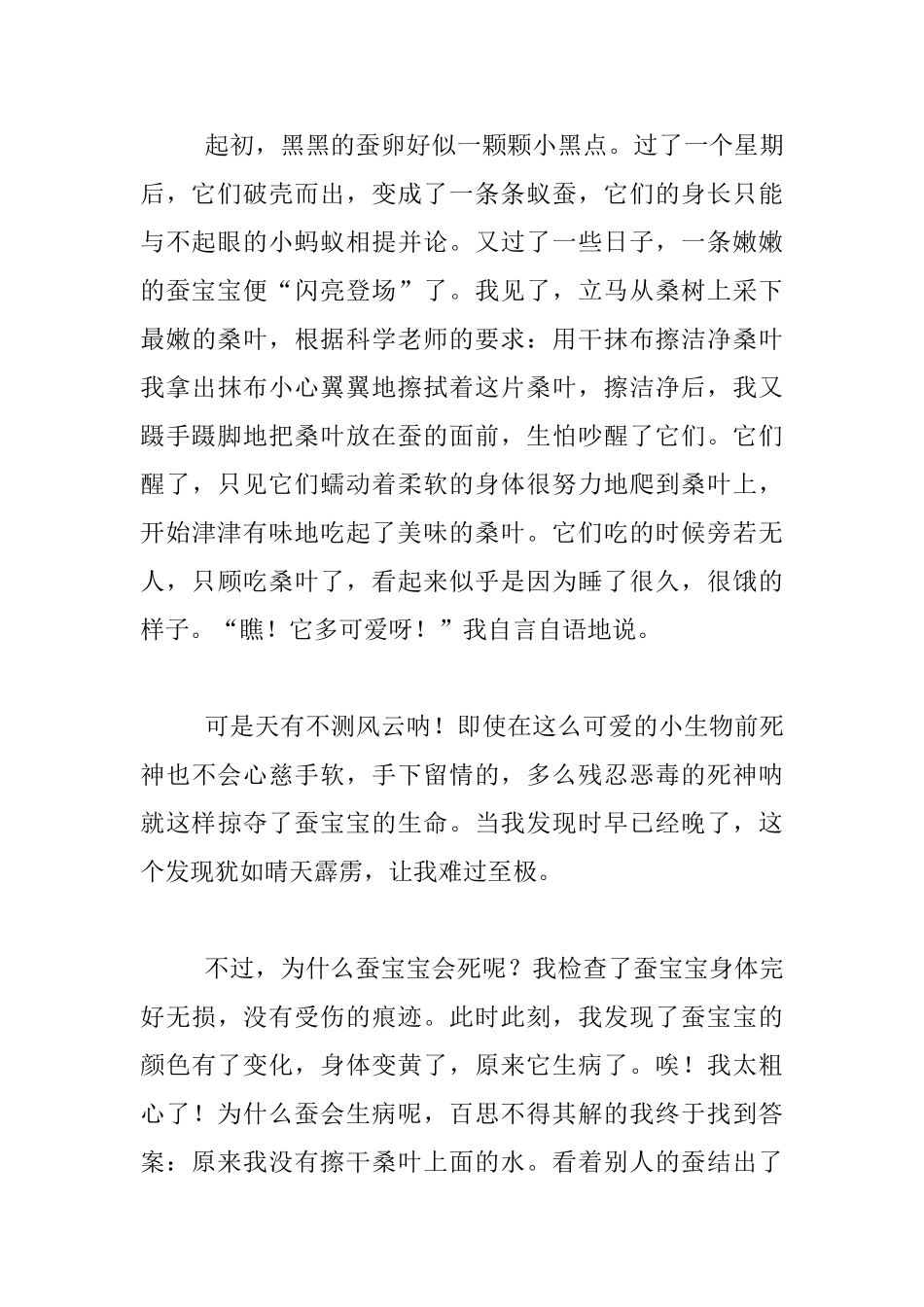 我的观察日记养蚕_第3页