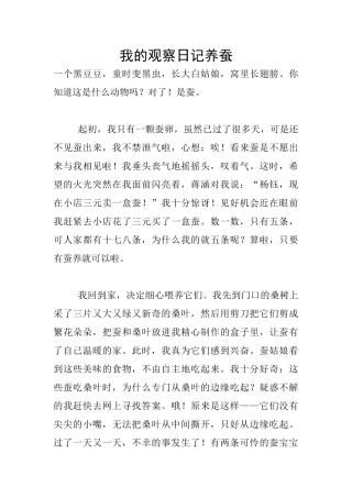 我的观察日记养蚕