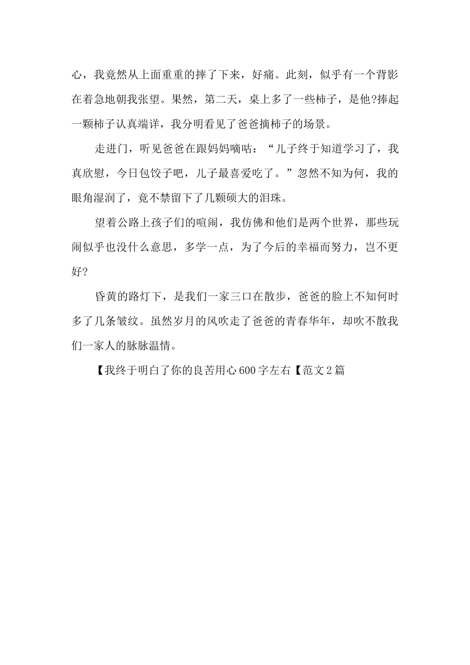 我终于明白了你的良苦用心600字左右_第3页