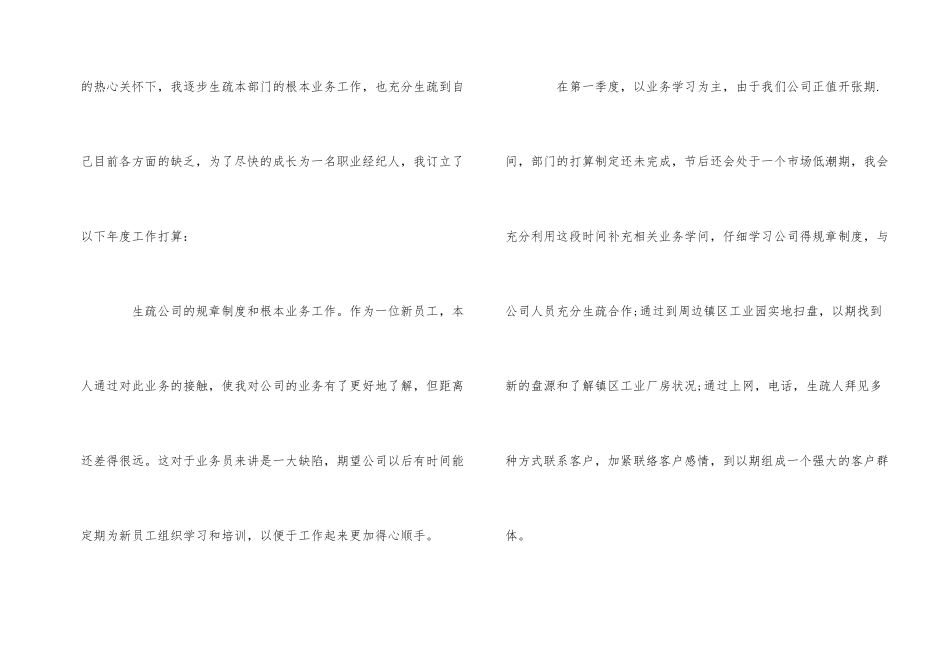 房产置业顾问工作计划_第2页