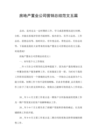 房地产置业公司营销总结范文五篇