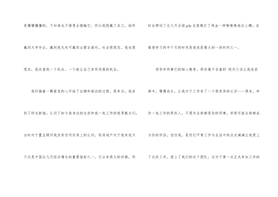 房地产置业顾问个人工作总结_第2页