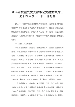 所有者权益处党支部书记党建主体责任述职报告及下一步工作打算