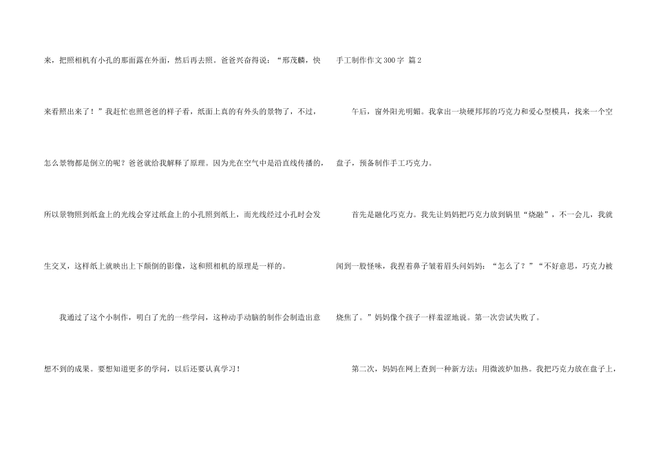 手工制作300字锦集8篇_第2页