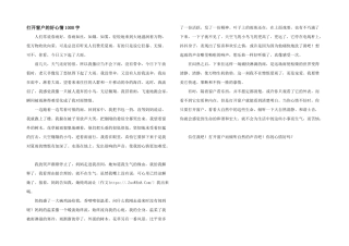 打开窗户的好心情1000字