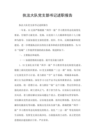 执法大队党支部书记述职报告