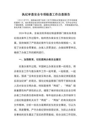 执纪审查安全专项检查工作自查报告