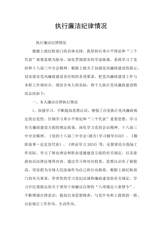 执行廉洁纪律情况